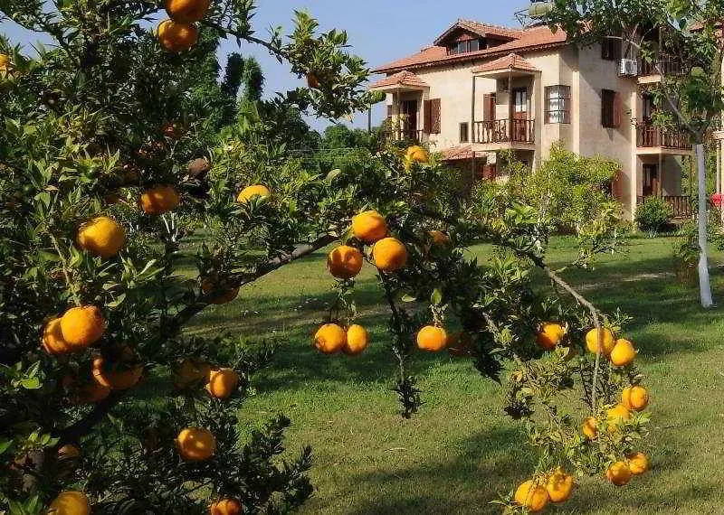 Yonca Lodge Fethiye 3*,